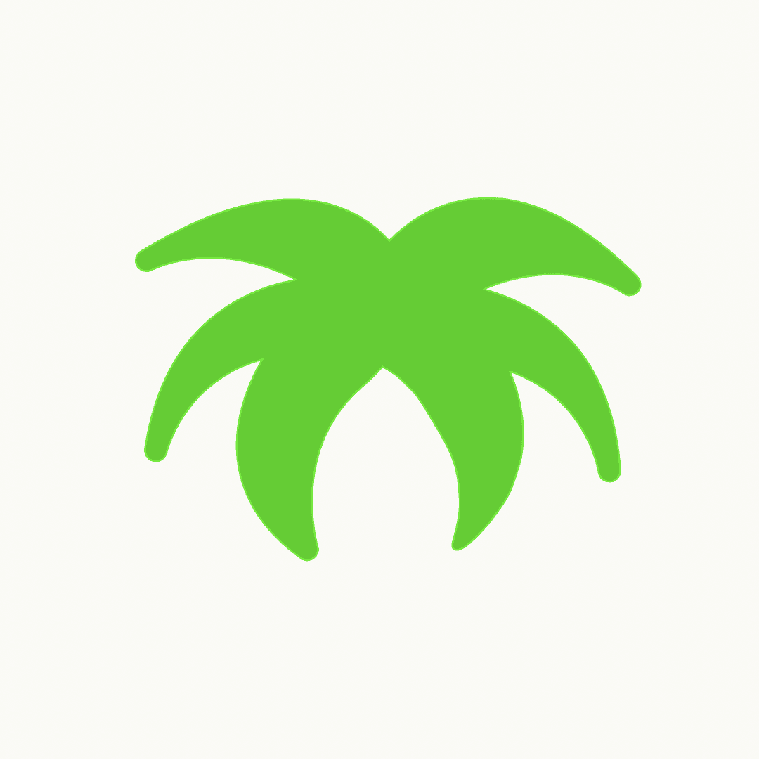 Palm Stays